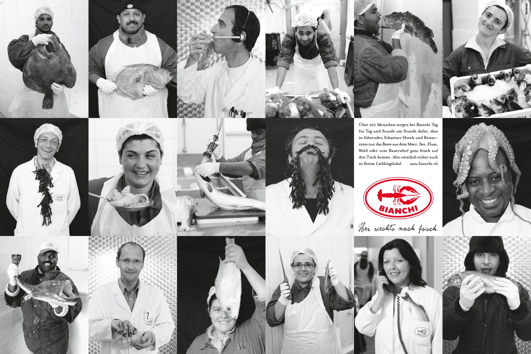 Brand Identity Design