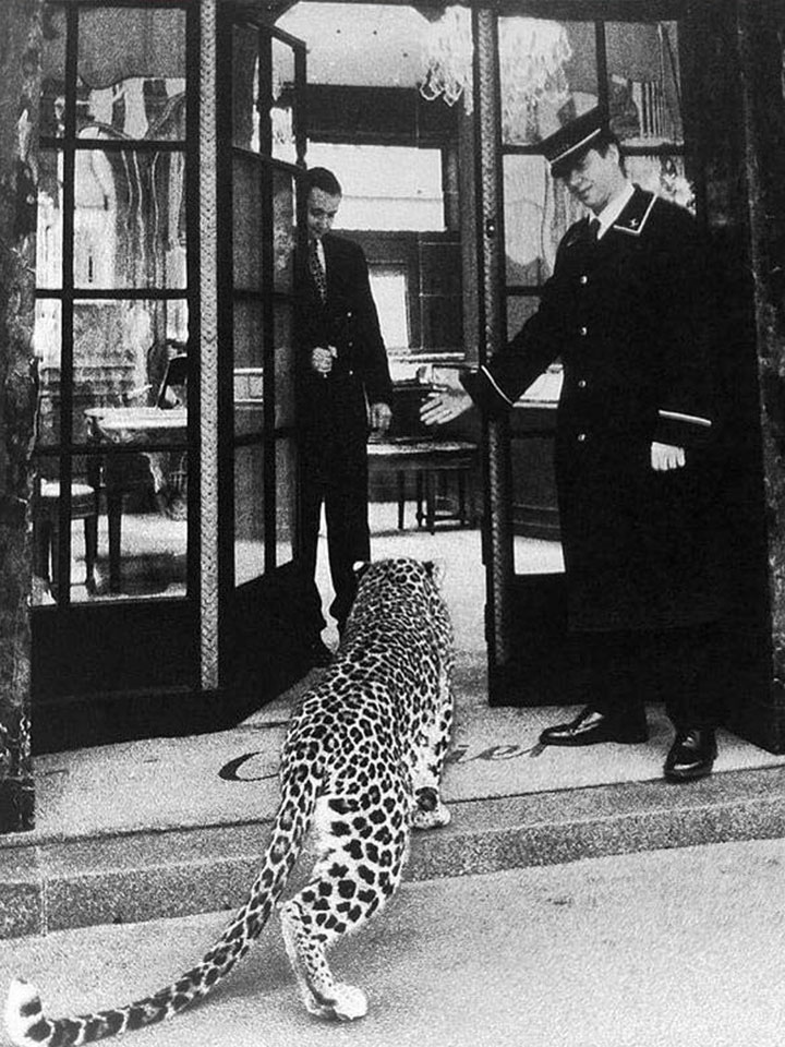 Marke ist Wille zur eigenen Besonderheit